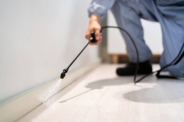 Licensed Cockroach Control service in National City, CA - Nex Pest Control
