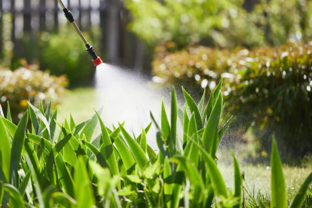 24/7 Emergency Cockroach Control experts in National City, CA