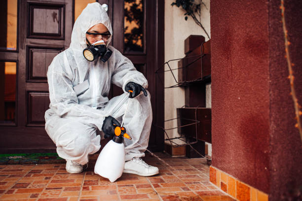 Reliable Cockroach Control contractor in National City, CA by Nex Pest Control