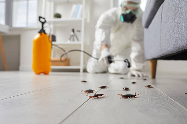 Trusted Rodent Control service in National City, CA - Nex Pest Control