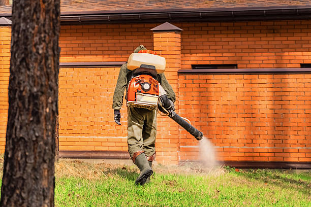 Trusted Ant Control service in National City, CA - Nex Pest Control